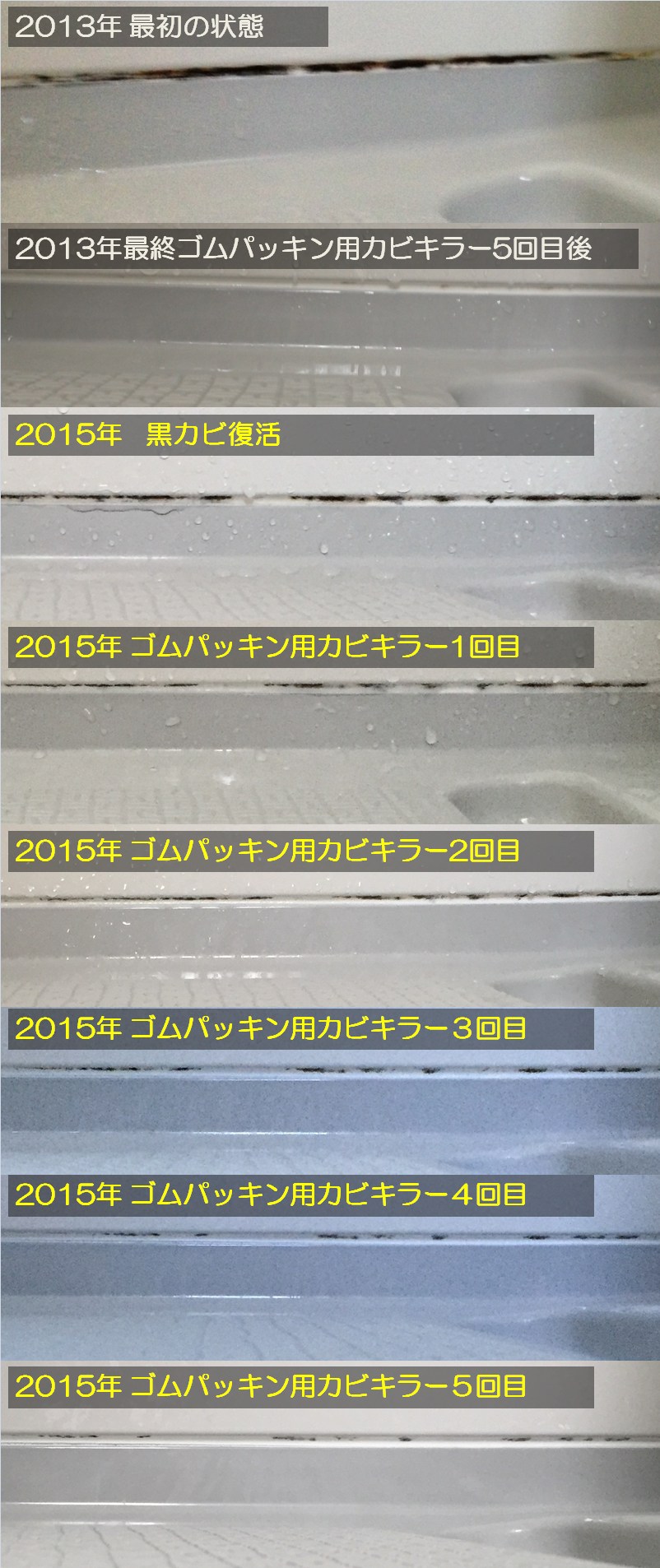 2015年黒カビにゴムパッキン用カビキラー塗布３・４・５回目